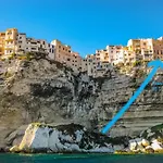 Fleur De Falaise Bonifacio (Corsica)