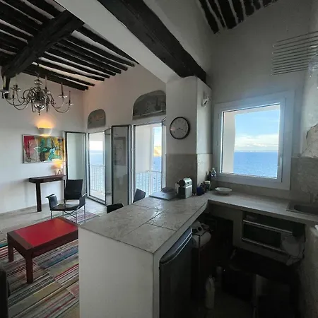 Fleur De Falaise Bonifacio (Corsica)