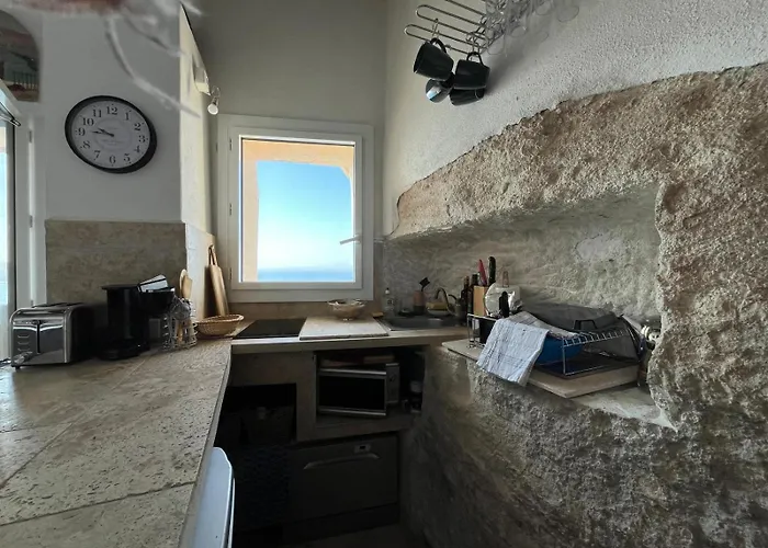 Fleur De Falaise * Bonifacio (Corsica)