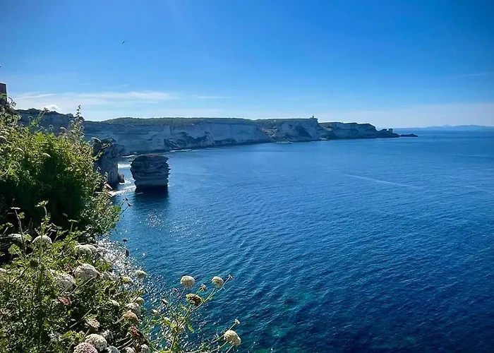 Apartamento Fleur De Falaise *