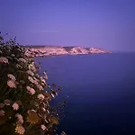 Fleur De Falaise Bonifacio (Corsica)