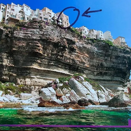 公寓 Fleur De Falaise