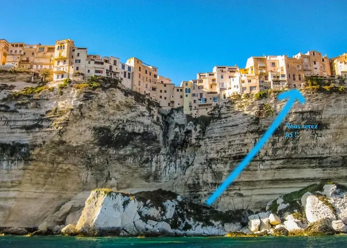 Fleur De Falaise Bonifacio (Corsica)