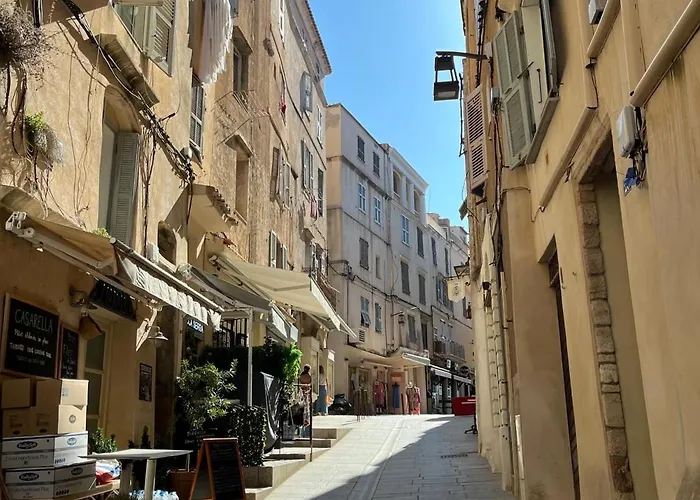 Fleur De Falaise Bonifacio (Corsica)