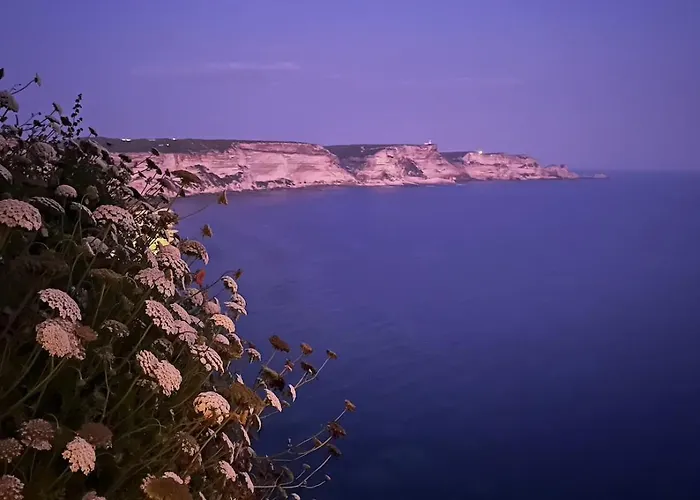 Fleur De Falaise Bonifacio (Corsica)
